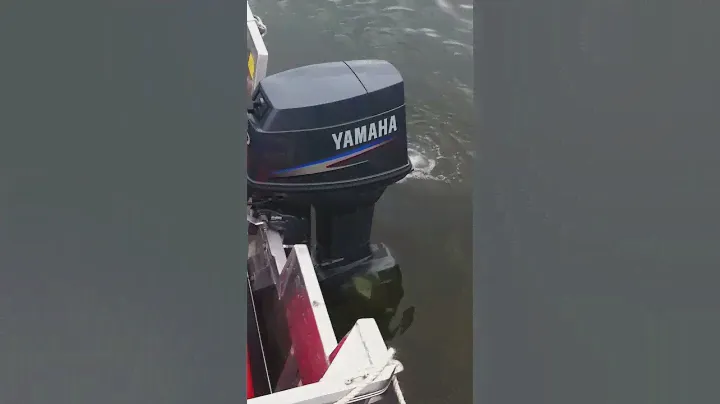 Yamaha 50 HP 3 cyl-Huge diffrence between Yamalube and BRP XD 50 smoke