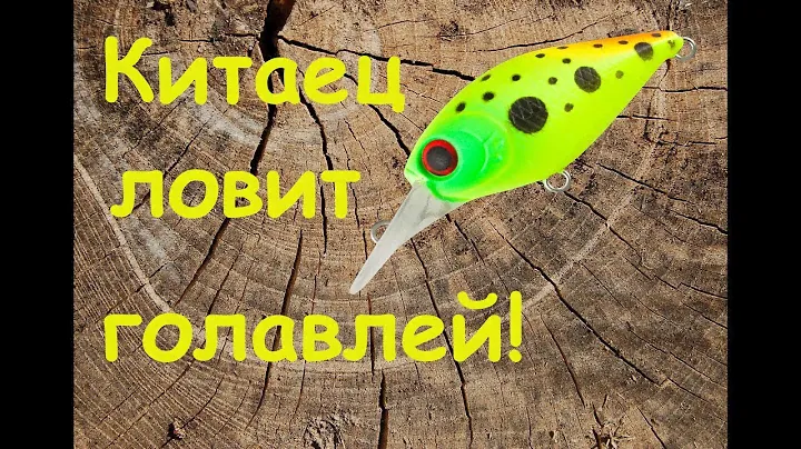 Сплав по р.ВОЯ#Ловля Голавля на TsuYoki Swing SR 35F
