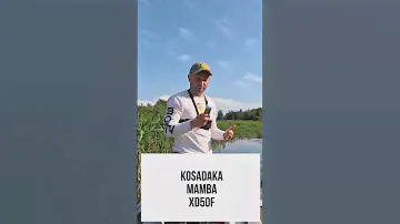 Ловлю на воблер Kosadaka MAMBA XD50F #щука #язь #окунь #ультралайт #воблер #kosadaka #luretesting