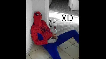 Momentos XD #38