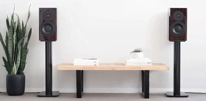 Dynaudio Focus 20 XD Piano Black-3