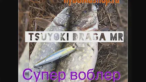 Анбоксинг посылки воблер TsuYoki Draga 130 MR из интернет магазина Rybalkasop.ru