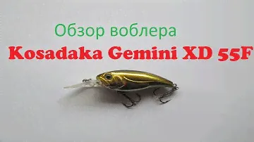 Видеообзор воблера  Kosadaka Gemini XD 55F по заказу интернет-магазина Fmagazin.