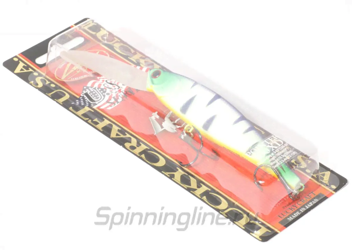  Lucky Craft Pointer 100XD Nishiki 251  